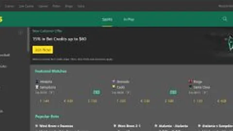 欧洲篮球联赛：艾菲斯战队英勇展现