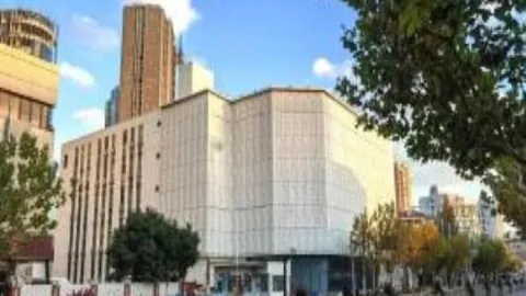 杨瀚森内线精准投射，连续巧投两分助力CBA夺冠